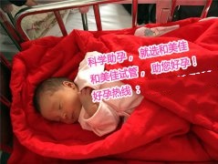 恭喜广州L女士，喜得贵子